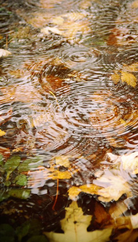 La magie de la pluie