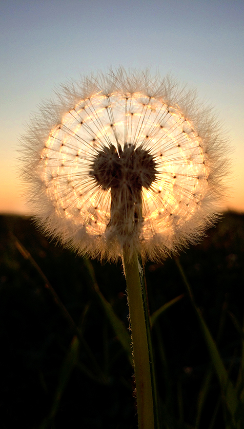 Aimer la beauté, c'est voir la lumière...Victor Hugo