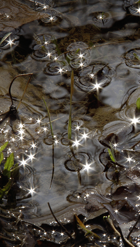 Le miracle prend naissance dans le regard que l'on pose sur le monde, au quotidien...