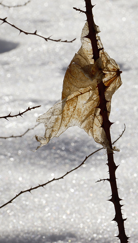 Faire de la photo c’est plus que faire une simple image…